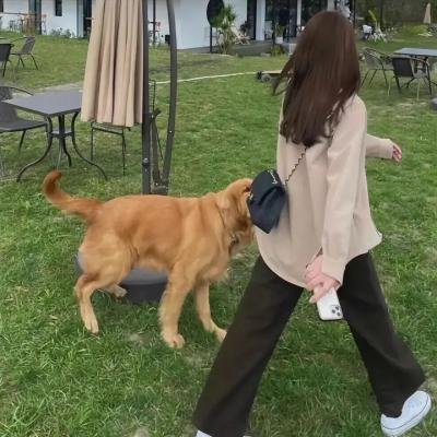 愿为女人